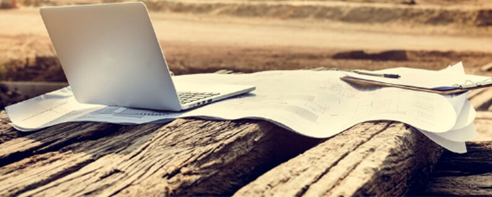 Professional Networking 